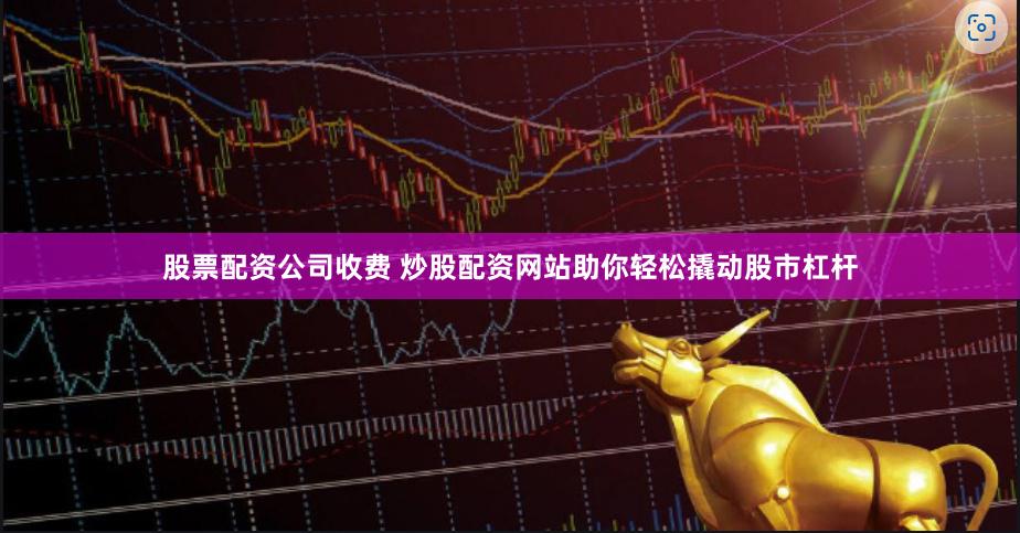 股票配資公司收費 炒股配資網(wǎng)站助你輕松撬動股市杠桿