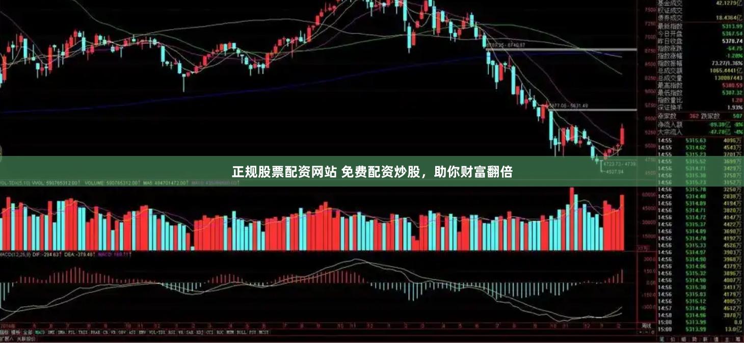 正規(guī)股票配資網(wǎng)站 免費(fèi)配資炒股，助你財(cái)富翻倍