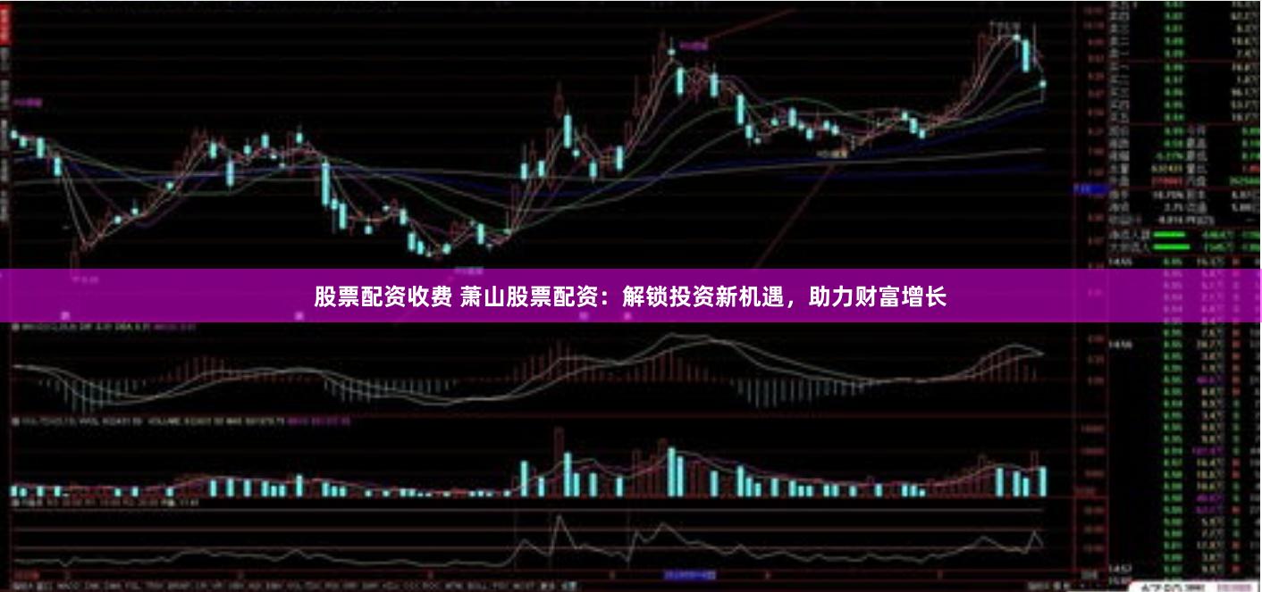 股票配資收費(fèi) 蕭山股票配資：解鎖投資新機(jī)遇，助力財(cái)富增長